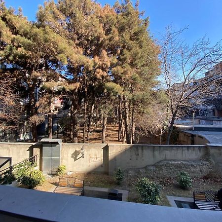 Apartment Vake 第比利斯 外观 照片